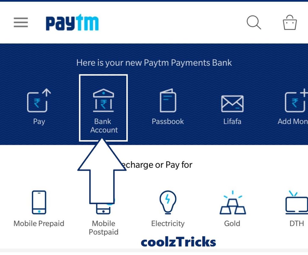 online fake paytm payment screenshot maker